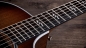 Preview: Taylor 424ce Walnut Special Edition